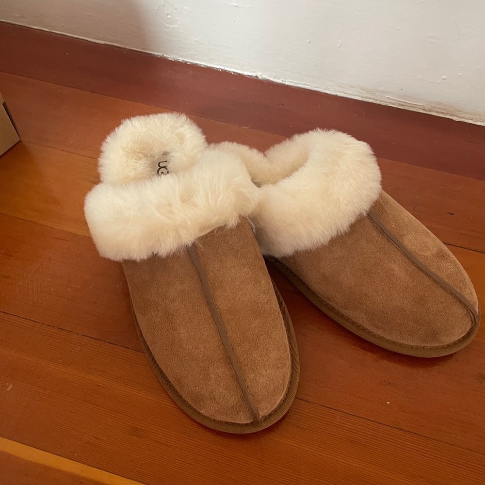 Brand New Never Worn Ugg Scuffette Slippers Size 8